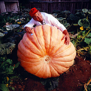 Photo of pumpkin grower